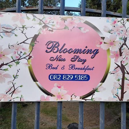 Blooming Nice Stay Harrismith Dış mekan fotoğraf