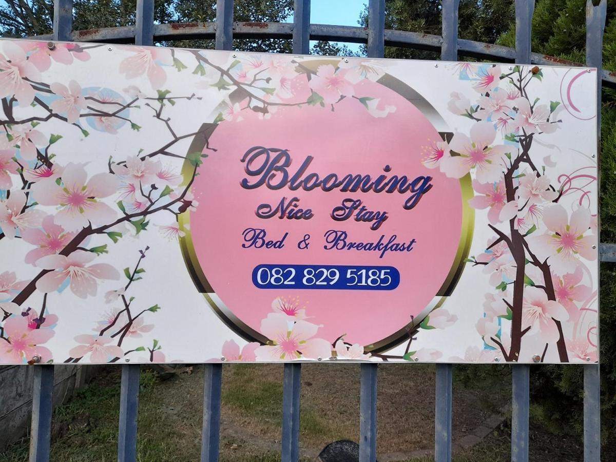 Blooming Nice Stay Harrismith Dış mekan fotoğraf